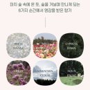 라운드어라운드 와일드 플라워 힐, 언노운 클라우드 바디미스트 구매후기