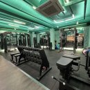 테라피티 이미지