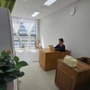 써니의 허브다이어트