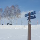 물의정원 공중화장실[진중-3] | 겨울 삿포로 여행 비에이투어 인디고트래블 내돈내산 후기 | 코스 꿀팁 마사짱스시 쥰페이