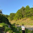 찬양민박 이미지