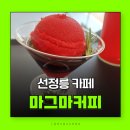 선릉역카페 선정릉역카페 마그마커피