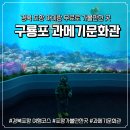 어촌마을과메기 | [포항아이랑]포항 구룡포 아이랑 가볼만한곳 과메기문화관 실내구경할곳 포항 비오는날갈만한곳