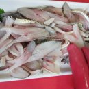 삼천포회구이 이미지