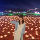 [충남 공주 여행, 공주 축제] 2023년 대백제전, 무쇠쓰레트 지글지글 막창, 토실이쌀밤빵 : 내돈내산 후기