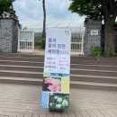 울곡천 | [서울근교, 양평 나들이] 세미원 / 배다리 재개통