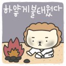 경희대 석사 비룡 태권도 이미지