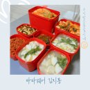 타파웨어(베스트) | 타파웨어김치통 국민김치통 추천 김치냄새 없애는 법