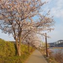 강릉해변 메밀막국수 이미지