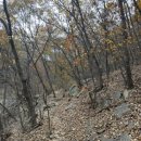 산본로451 이미지