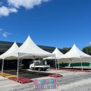 충주청과 이미지