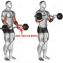 위아더 휘트니스 이미지