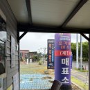 제주 서귀포 쇠소깍 | [제주여행] 서귀포 쇠소깍 테우 카약 당일 예약 위치 후기