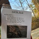 오토오아시스충주문화점 | 충주캠핑장 문성자연휴양림 야영장 A1 데크 후기