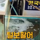 통영포장횟집