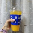 모히또바인오션 - 67728 | 모히또바인오션