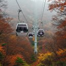 10월19일(일)~20(월) 오전 9시 강원도 설악산 1박2일 단풍여행(금호리조트 설악 휴그린 로얄스위트) 이미지