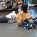 퍼피앤커피 이미지