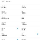 모모초이