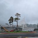올리앤(Ollien) 로고