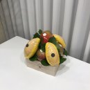 달푸르츠 이미지