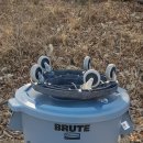 [완료] U.S Rubbermaid 고강도 플라스틱 쓰레기통 이미지