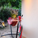 스테이더담 도율 이미지