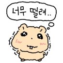 넘버원 유도관 이미지