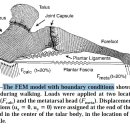 Calcaneal loading during walking and running. 보행분석을 위한 기초논문 이미지