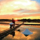 바다, 생명을 담다 이미지