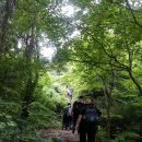 이우중학교 이미지