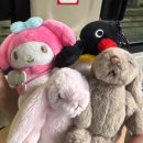 개쩐다뽑기 이미지