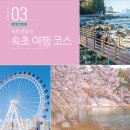 영랑호 동측 공중화장실 | 당일치기 속초 여행 코스 후기 속초 관광지 영랑호 벚꽃 축제 外
