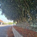 위미1리 복지회관 이미지