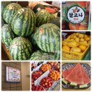 달고나청과 | 광주 과일가게 달고나청과 수박 고르는 법 믿고 갔다가 사장님께 한 수 배운 날