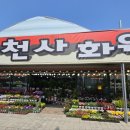 꽃천사화원