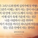 호박꽃초롱 네이버블로그