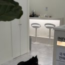 한국정통지압안마원 | 성신여대마사지 에스&amp;제이 지압힐링안마원 마사지잘하는곳