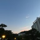 스타벅스비발디파크점 이미지