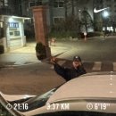 뉴홍익당구클럽 | 끝나가는 3월 마무리 해볼게요☺️