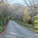 OK펜션 | 청산도펜션 고민 끝! 깔끔하고 편안한 청산도ok펜션 후기