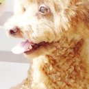 소답동237 이미지