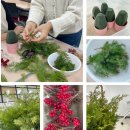 앵콜특강_크리스마스트리 만들기 이미지