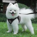 메가세이프 이미지