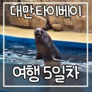 씨앤씨푸드 | 대만 타이베이 자유여행 5일차: 라뜰리에 루터스, 메이포포, XPark, Wang's broth 공항점