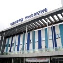 카페안젤로 서울성모점 네이버블로그