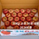 옛날 부사 사과(후지 사과) 판매합니다. 10Kg 26,000원~ 이미지