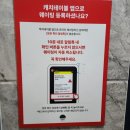 대흘리에 | 🐚 제주함덕맛집 2탄｜숙성도 함덕점, 찰떡이와 함께한 오션뷰 고깃집 후기