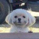 다짐 | 2026.01 🏋🏻‍♀️ (새해다짐 겸 바프 후기)