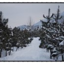 소성농장 이미지